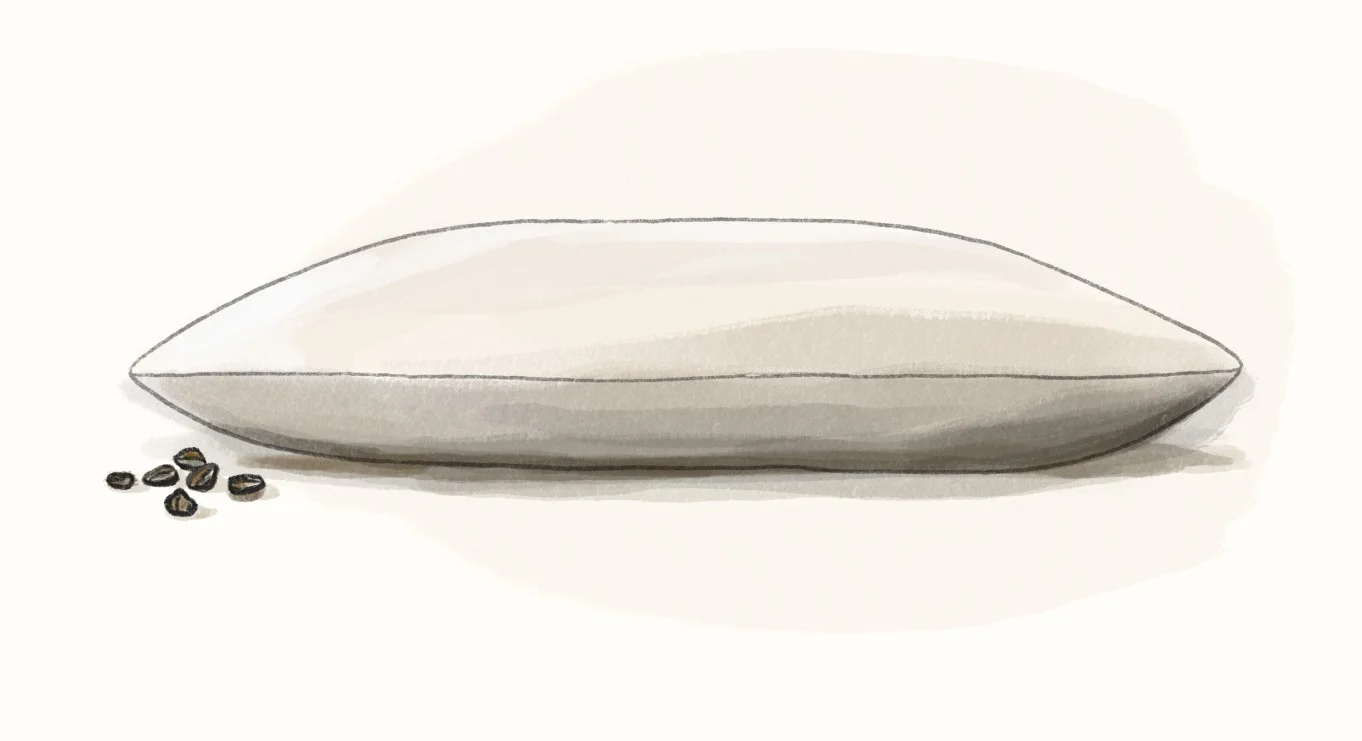 A Japanese buckwheat pillow